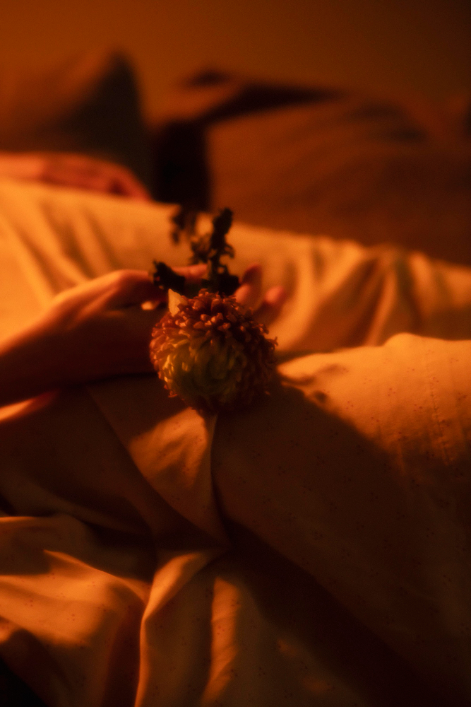 หมาป่าแดงรีวิว